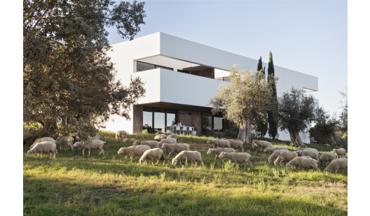 plush74 rental photo film event villa portugal countryside00004