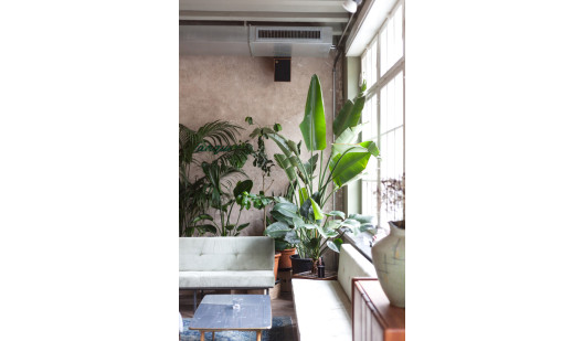 plush74 restaurant brera 1