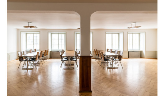 plush74 reunion rooms in historic house 1 (1)