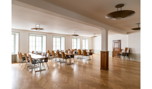 plush74 reunion rooms in historic house 3