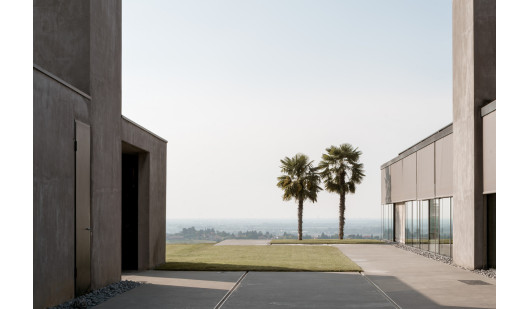 plush74 rinoceronte 2