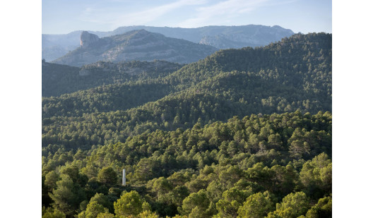 plush74 selection ssgs 4