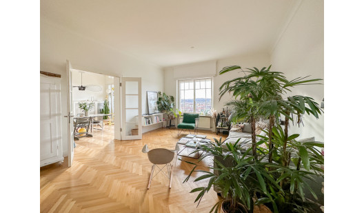 plush74 spacious vintage apartment stuttgart 1