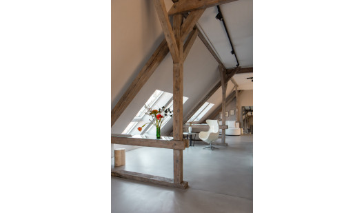 plush74 studio 541 2