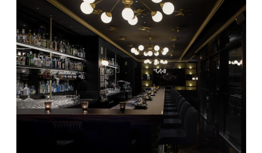 plush74 the eclectic bar 2