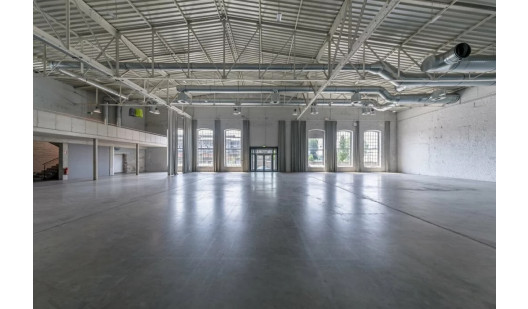 plush74 the new yorker 1