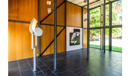 plush74 the pavillon 10(1)