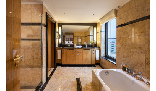 plush74 timeless and classic hotel berlin 10(1)