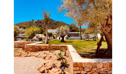 plush74 villa mit pool ii ibiza 4