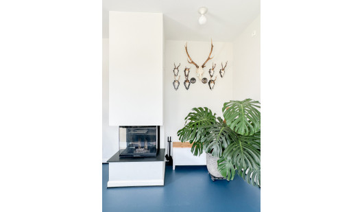 plush74 vintage bauhaus house 2(1)