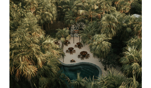 slow tulumtreehouse 26 (1)