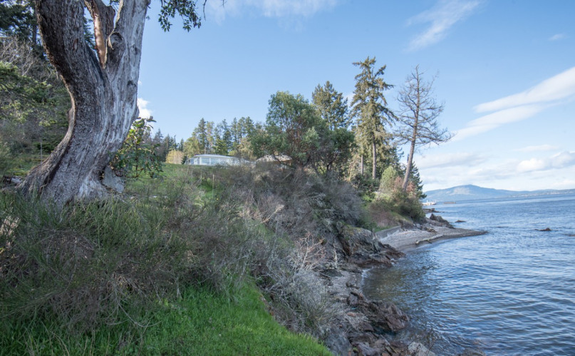 4857plush74 location film photo event vancouver island canada ocean cabin 22