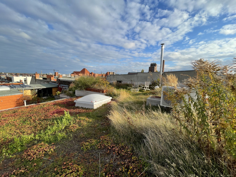 IMG_1823 09c9c38208f6f3a894ce61606a9e191b