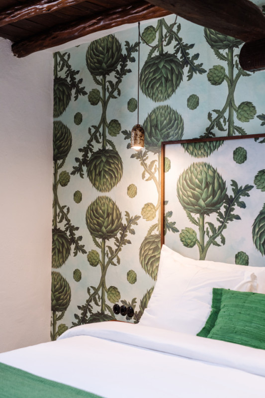 artichoke suite c ana lui 00001