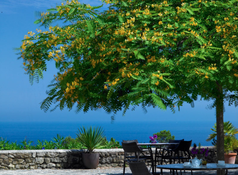 can talaias productions locaitons plush7412