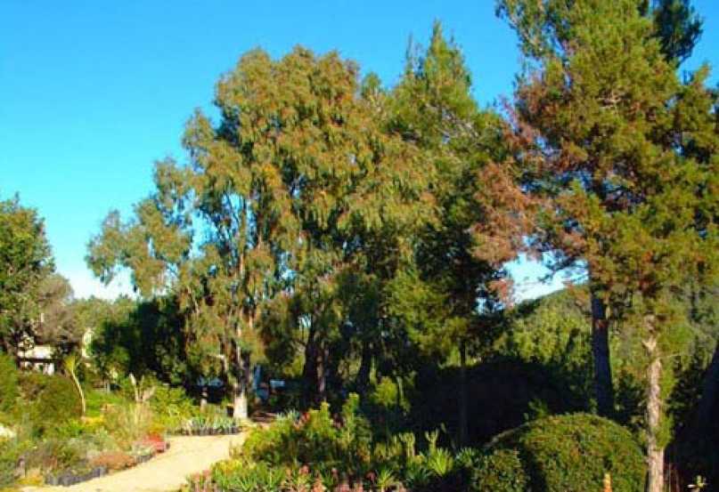 can talaias productions locaitons plush7423