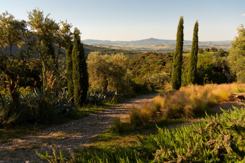 castellovicarello046