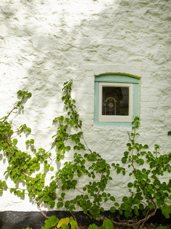 hopecottage silverstein pluche74 locaties uk9