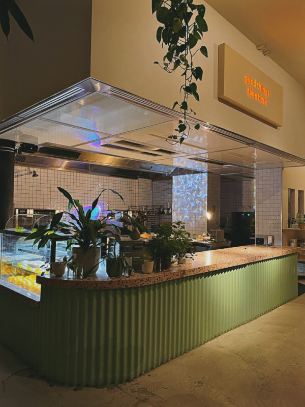 image00029 1536x2048