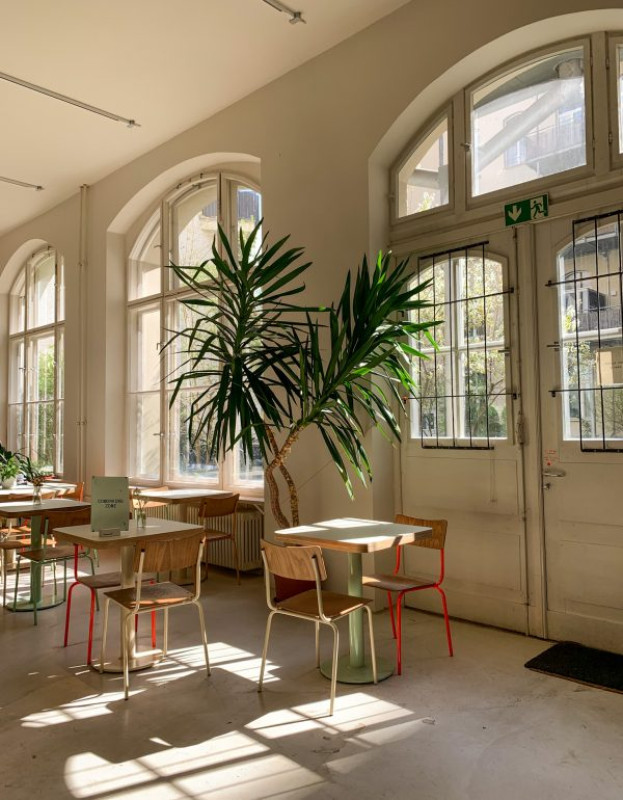 img 3681 q5alal0bv9viktccuia3ss83no28upfllmix62t444