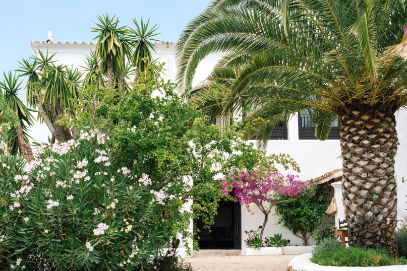 legado main house c ana lui 00009