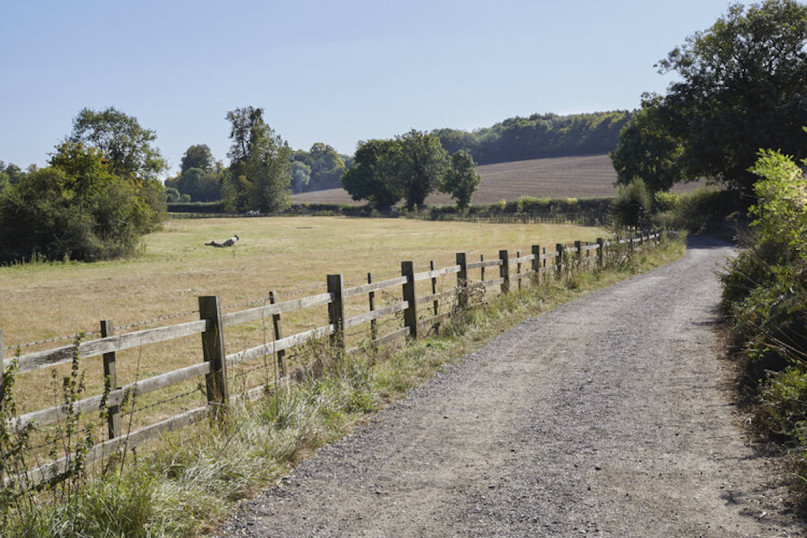 misbournevalley silverstein plush74 locations uk10