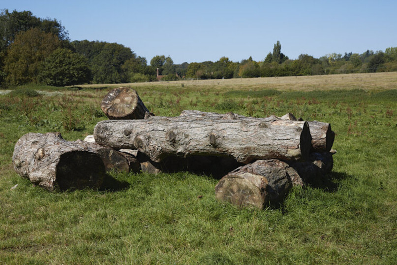 misbournevalley silverstein plush74 locations uk14