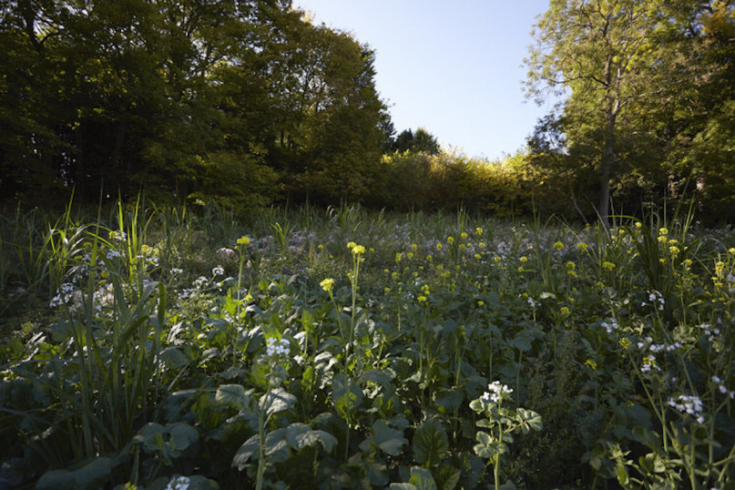 misbournevalley silverstein plush74 locations uk31