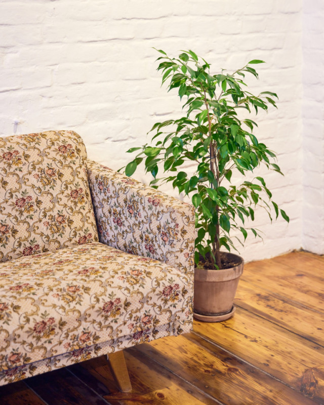 mitose labor3 jh 11 klein