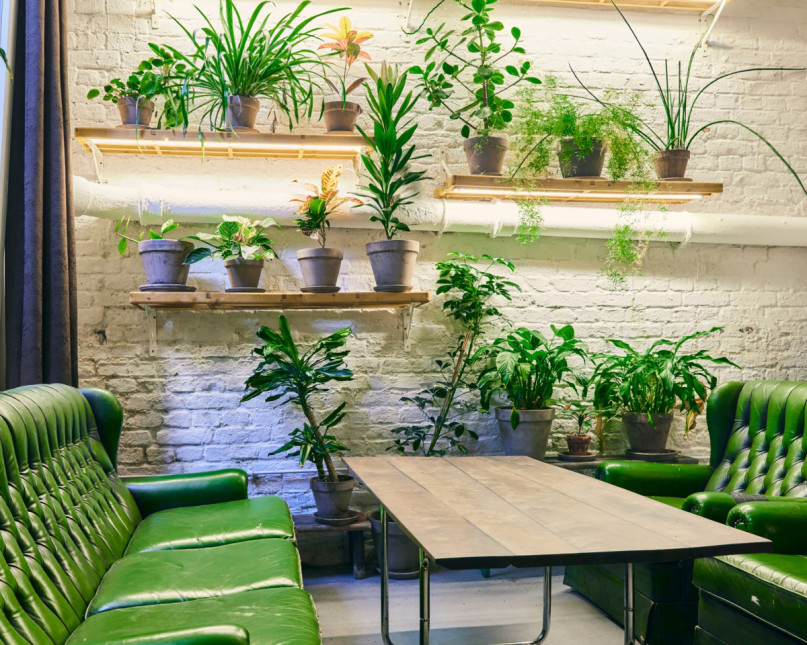 mitose labgreen jh 7 edit 2 klein