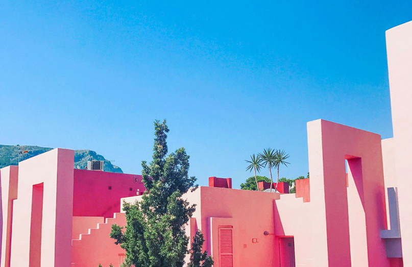 muralla0507 2 raccolto u313178