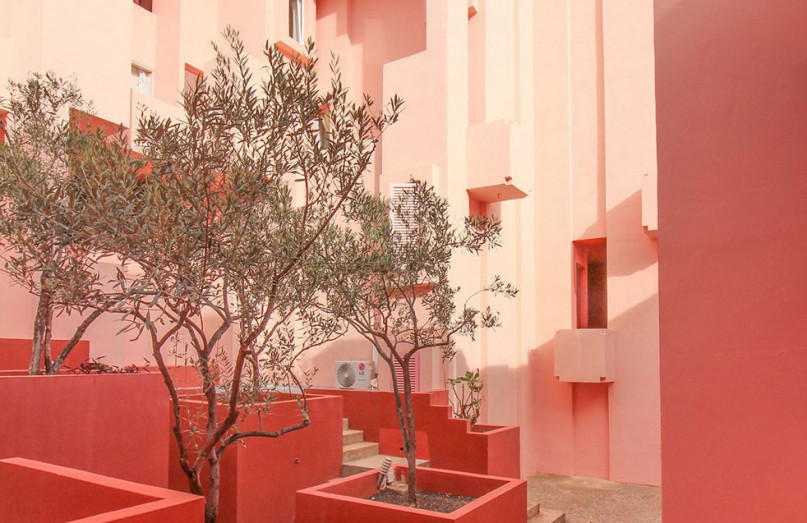 muralla0507 3 raccolto u313220