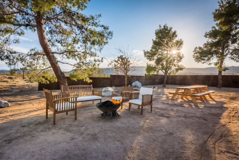 plus74 rose caasita usa joshuatree location24