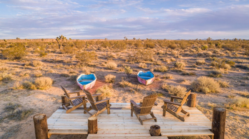 plus74 rose caasita usa joshuatree location26