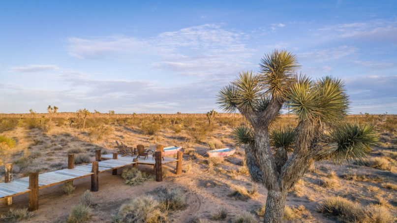 plus74 rose caasita usa joshuatree location27