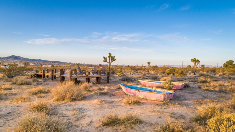 plus74 rose caasita usa joshuatree location28