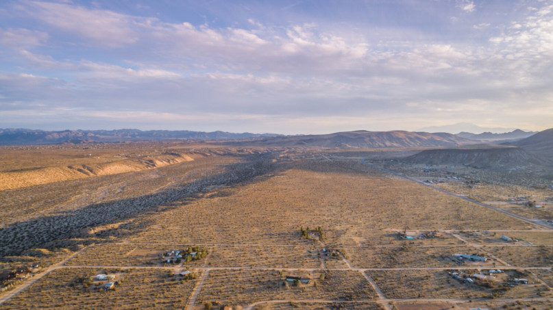 plus74 rose caasita usa joshuatree location30