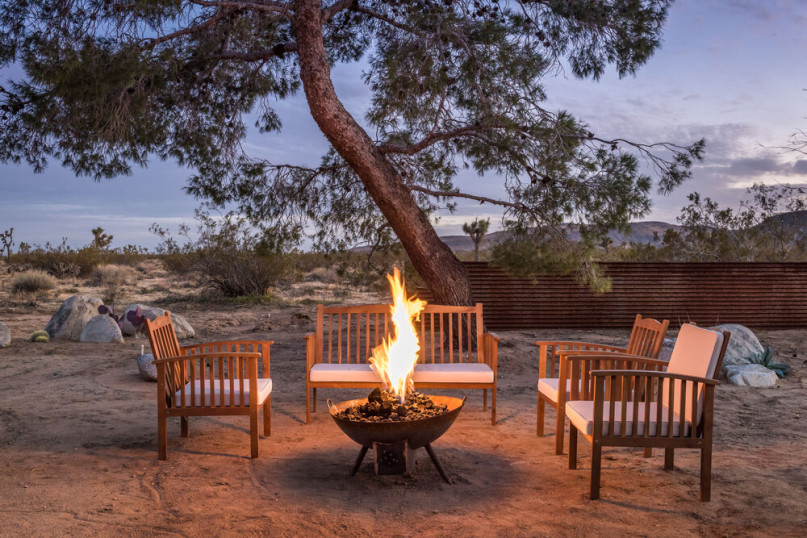 plus74 rose caasita usa joshuatree location32