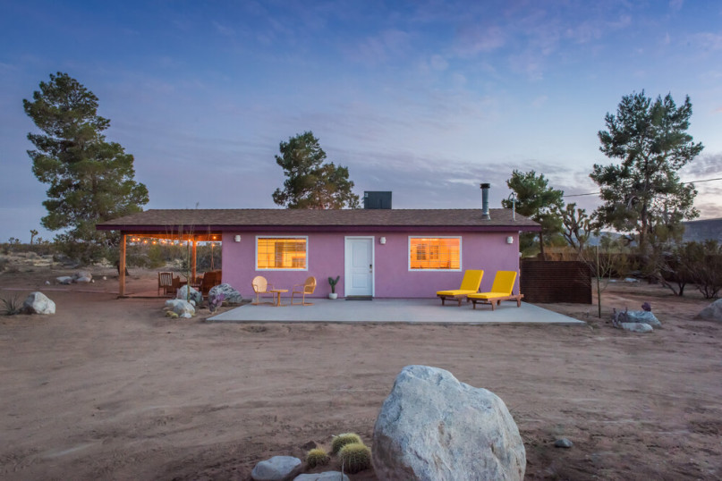 plus74 rose caasita usa joshuatree location36