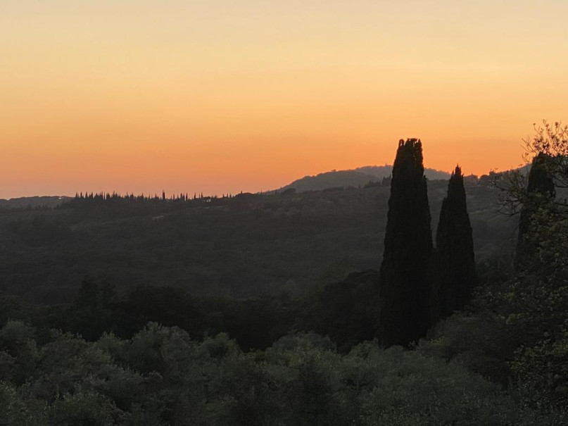 plush 74 san casciano in val di pesa 98535 1