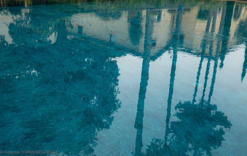 plush 74 san casciano in val di pesa 98535 23