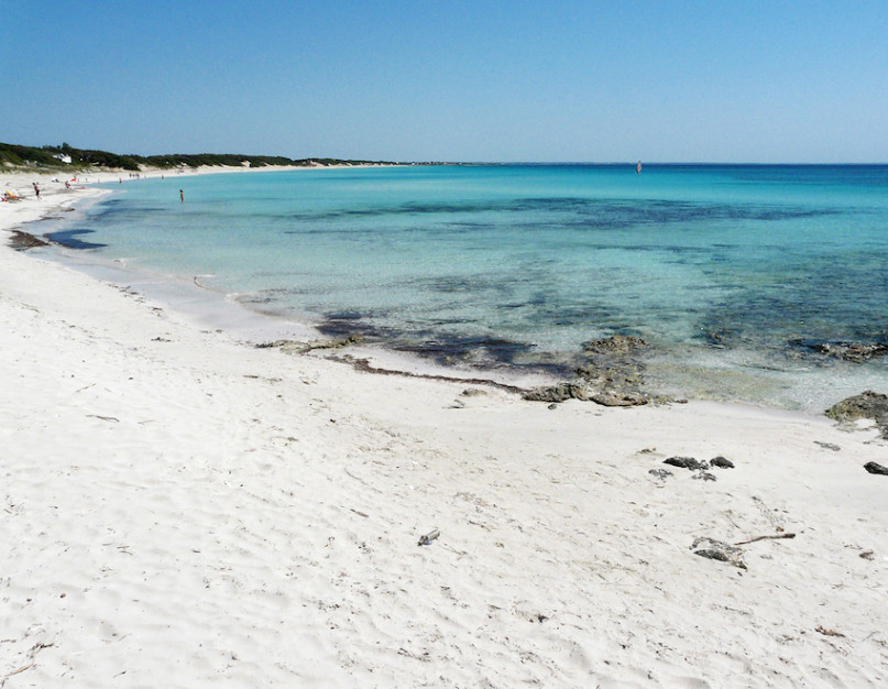 plush74 4msp location2 19