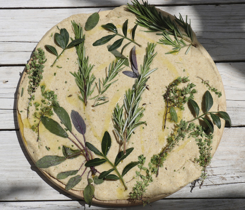 plush74 4msp location2 23