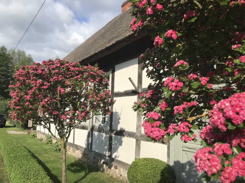 felpa74 alte budnerei 3(1)