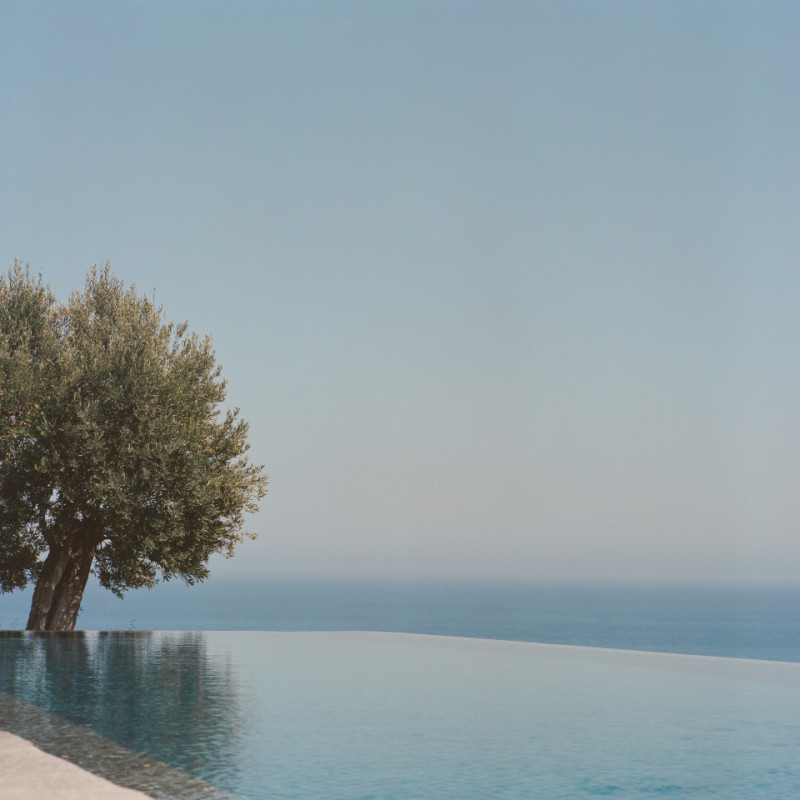 plüsch74 amadriade 16 (3)