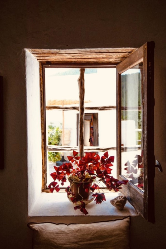 peluche74 artista casale ibiza 11