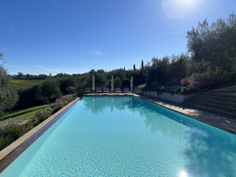 plush74 beneficio 13(1)