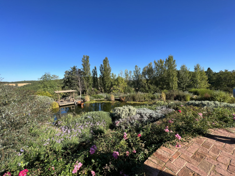 plush74 beneficio 15(1)