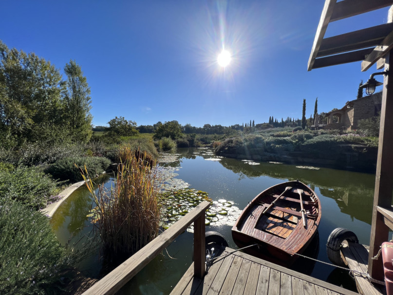 plush74 beneficio 17(1)