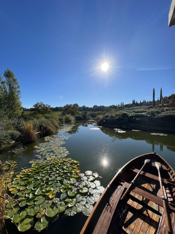 plush74 beneficio 19(1)